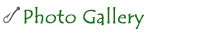 Photo Gallery